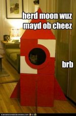 funny-pictures-herd-moon-wuz-mayd-ob-cheez.jpg