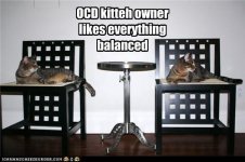 funny-pictures-ocd-kitteh-ownerlikes-everythingbalanced.jpg