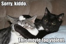 funny-lol-cat-movie-violent.jpg