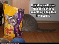 funny-pictures-its-called-an-illusion-michael-a-trick-is-something-a-dog-does-for-biscuits.jpg