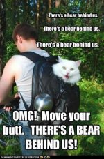 funny-pictures-theres-a-bear-behind-us.jpg