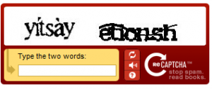 recaptcha1-300x127.png