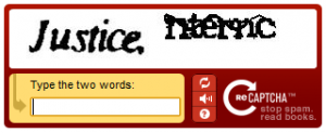 recaptcha8-300x123.png