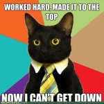 memes-business-cat-the-ladder-is-terrifying.jpg