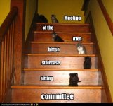 funny-pictures-meeting-in-progress.jpg