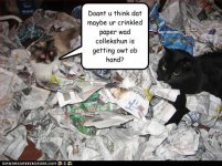 funny-pictures-hoarding-not-limited-to-humans.jpg