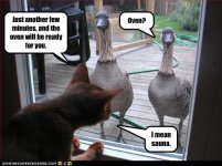 e9bef_funny-pictures-cat-prepares-oven-for-geese.jpg