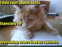 funny-pictures-i-hate-court-appearances-especially-for-restraining-orders-filed-by-squirrels.jpg