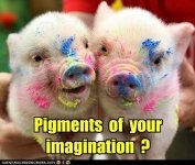 funny-pictures-pigments-of-your-imagination.jpg