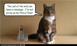 funny-pictures-the-call-of-the-wild-can-leave-a-message-im-not-giving-up-my-fancy-feast.jpg
