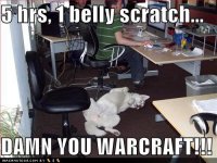 funny-dog-pictures-dog-waits-for-your-gaming-break.jpg