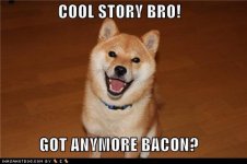 Cool Got Bacon.jpg
