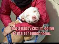 for ebber home.jpg