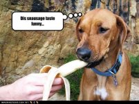 Funny Tasting Sausage.jpg