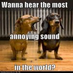 Most annoying sound in the world.jpg