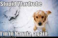Narnia again.jpg