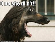 OH NO SHE DIDN'T.jpg