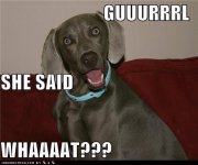 She said WHAAAAT.jpg