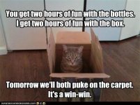 funny-pictures-you-get-two-hours-of-fun-with-the-bottles-i-get-two-hours-of-fun-with-the-box.jpg