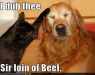 funny-pictures-i-dub-thee-sir-loin-of-beef.jpg