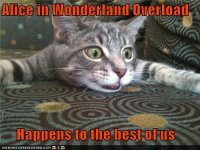 funny-pictures-alice-in-wonderland-overload-happens-to-the-best-of-us.jpg