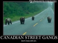 canadianstreetgangs.jpg