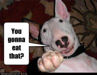 YOU GONNA EAT THAT.jpg