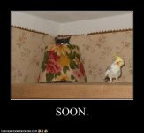 funny-pictures-soon1.jpg
