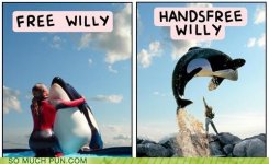 funny-puns-handsfree-willy.jpg