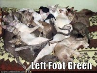 funny-pictures-left-foot-green.jpg