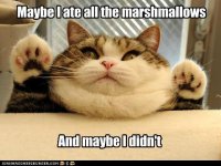 funny-pictures-marshmallows.jpg