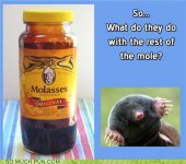 funny-puns-so-what-do-they-do-with-the-rest-of-the-mole.jpg