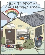 funny-pictures-kitteh-komic-ob-teh-day-how-to-spot-a-cat-persons-home.jpg
