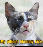 funny-pictures-my-official-monday-face.jpg
