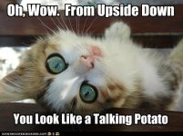funny-pictures-from-upside-down1.jpg
