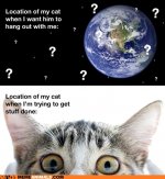 the-location-of-your-cat.jpg