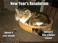 funny-pictures-cat-ponders-his-new-years-resolutions1.jpg