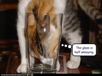 funny-pictures-the-glass-is-half-annoying.jpg