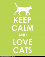 funny-pictures-keep-calm-and-love-cats.jpg