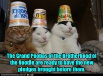 funny-pictures-the-grand-poobas-of-the-brotherhood-of-the-noodle-are-ready-to-have-the-new-pledg.jpg