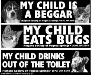 funny-pictures-my-child-eats-bugs-cute-bumper-stickers-by-the-humane-society-of-pagosa-springs-c.jpg