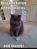 funny-pictures-origami-kitteh-needz-practis-and-thumbz.jpg