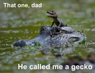 that-one-dad-he-called-me-a-gecko-funny-baby-crocodile-alligator.jpg