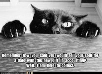 funny-cat-pictures-remember-how-you-said-you-would-sell-your-soul-for-a-date-with-the-new-girl-i.jpg