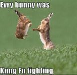 kungfubunny.jpg