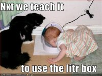 funny-pictures-cats-teach-baby-to-d.jpg