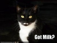 funny-pictures-your-cat-has-a-milk-.jpg