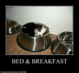 funny-pictures-i-has-a-hotdog-sumtimez-we-get-sleepy-after-noms.jpg