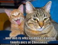 funny-cat-pictures-and-this-is-why-we-dont-send-out-family-pics-at-christmas.jpg