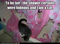 funny-cat-pictures-lolcats-to-be-fair.jpg